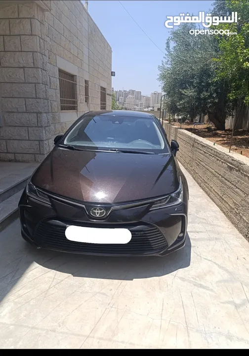 تيوتا كورولا