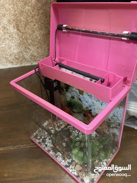 Small Aquarium with artificial rocks and filter cartridges