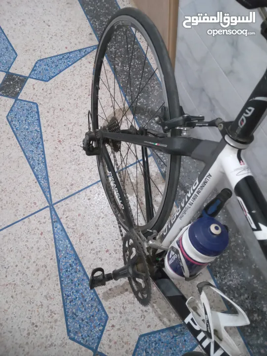 دراجة pinarello للبيع