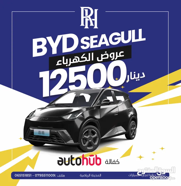 SEAGULL   BYD   موديل 2023