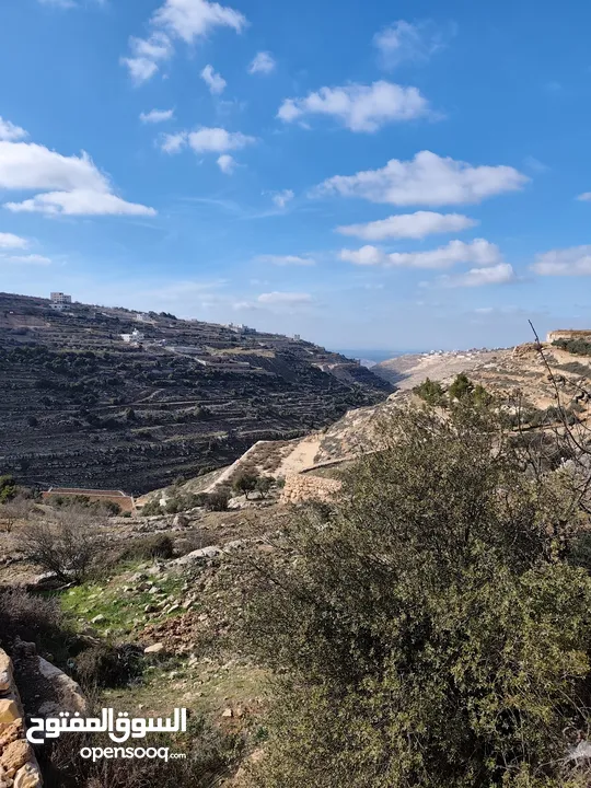700 متر للبيع غرب حلحول