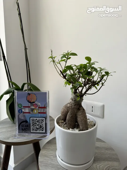 شاليه للإيجار اليومي بناء حديث وأثاث جديد وموقع مميز بافضل الأسعار من  (فيلا نايا اليوسفي )
