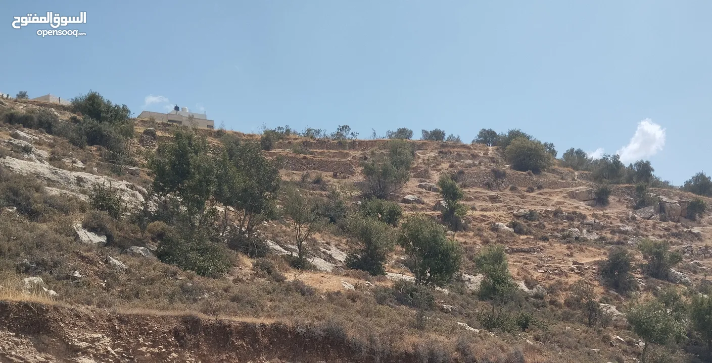 ارض( 1027متر )للبيع ع رأس جبل كاشفة ومطلة