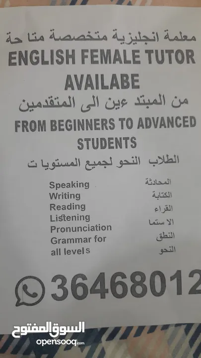 English teacher available for all levels