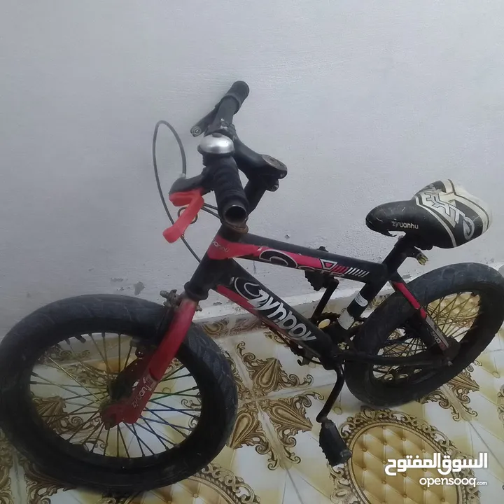 بسكليت نمره 16