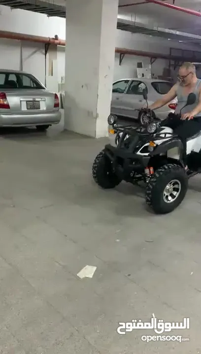دباب جبلي رباعي