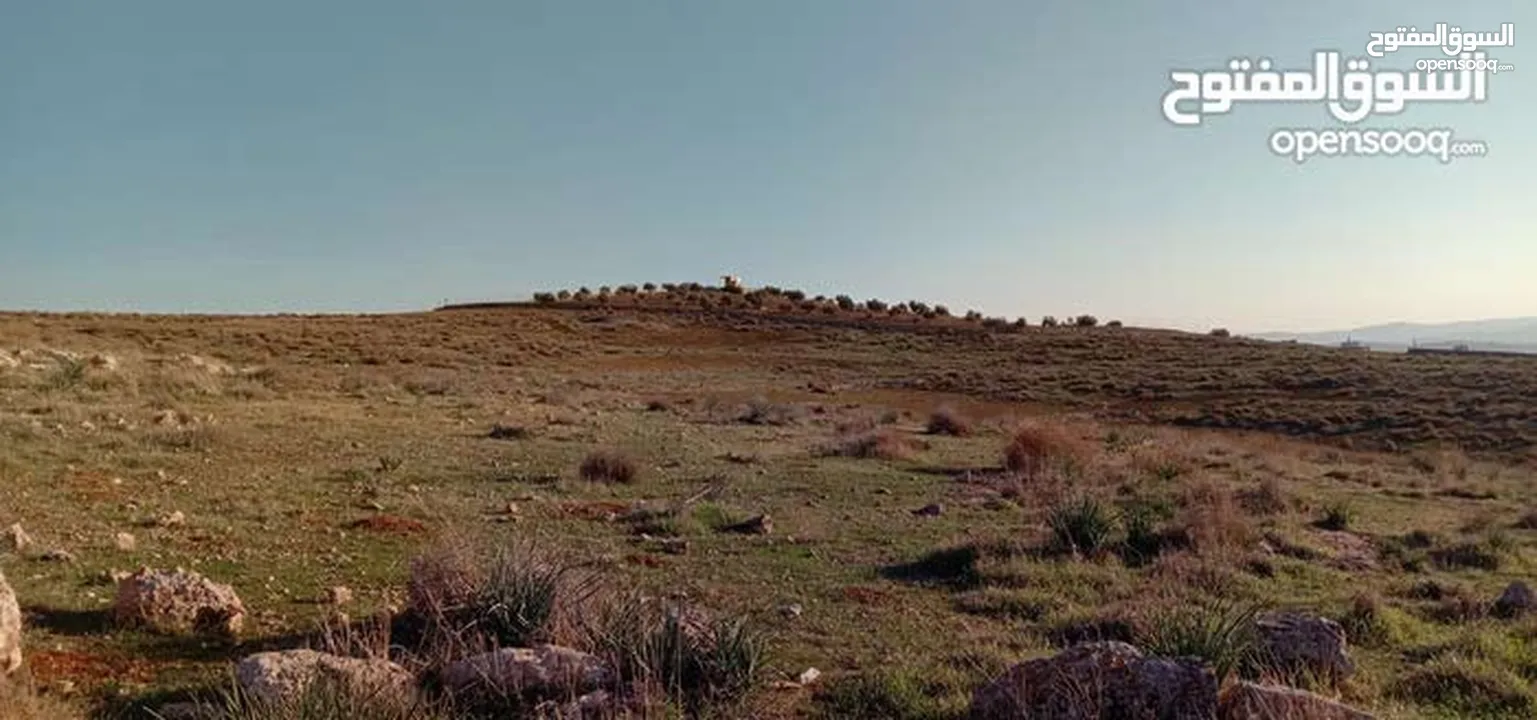 ارض زراعية مساحة 10 دونم بسعر مغررري