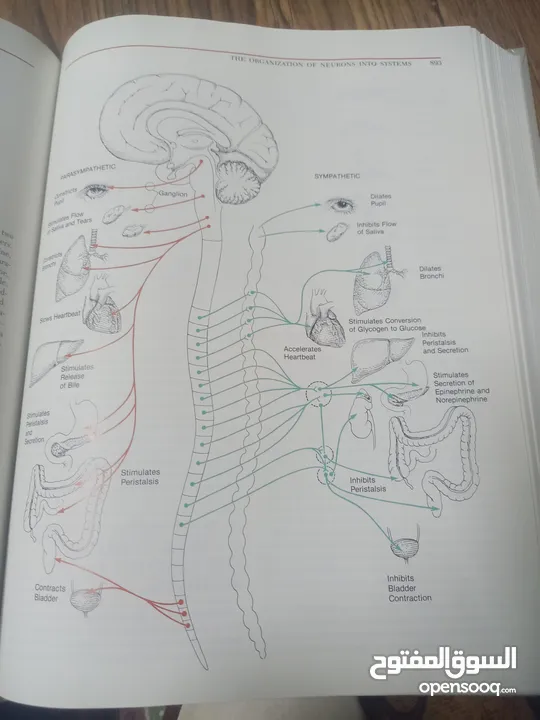 كتاب بعنوان biology