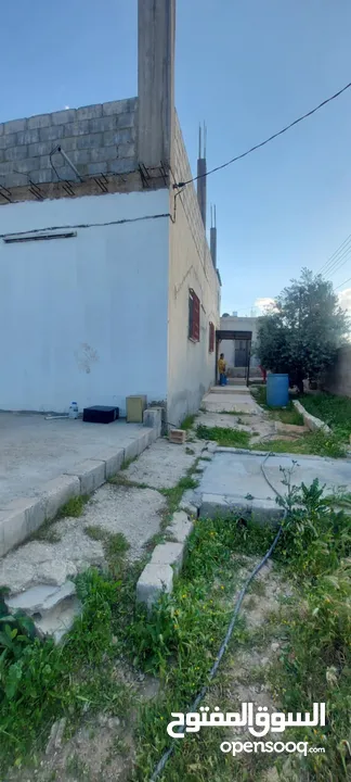 بيت مستقل للبيع في المفرق بلعما الزيتونه  قوشان مستقل  ومسور بلكامل مسطح 140 يبعد عن مدرسة البنات