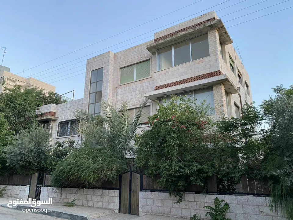 عمارة 8 شقق في العبدلي بجانب البوليفارد بدخل ممتاز للبيع بسعر الارض