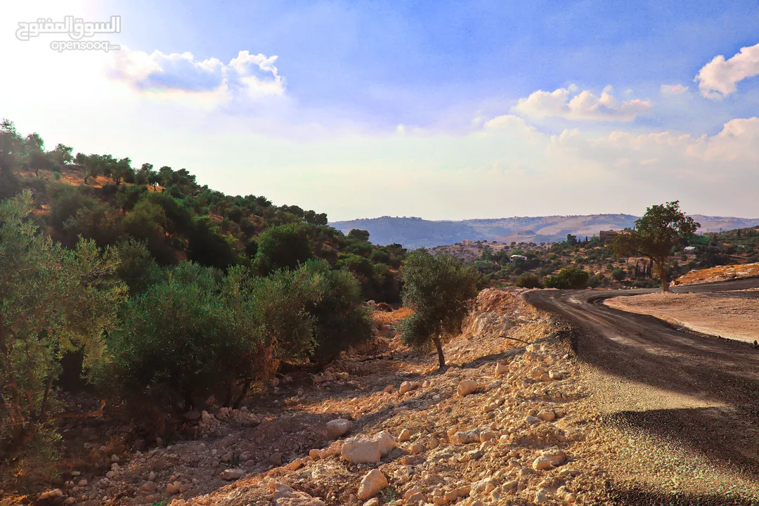 الأردن-عمان الغربيه - بدرالجديدة -الكاشف ارض مميزه للبيع 1200م باطلاله غربيه عاليه وجميله جدا