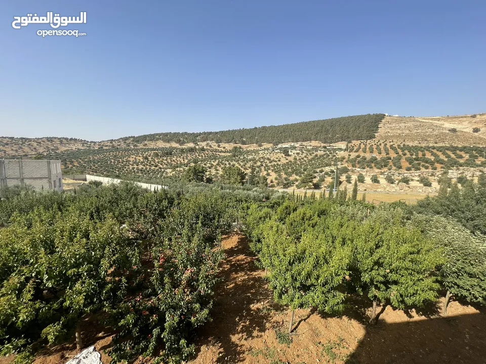 مزرعة و شاليه مميزة للبيع في منطقة الكمشة - الزرقاء