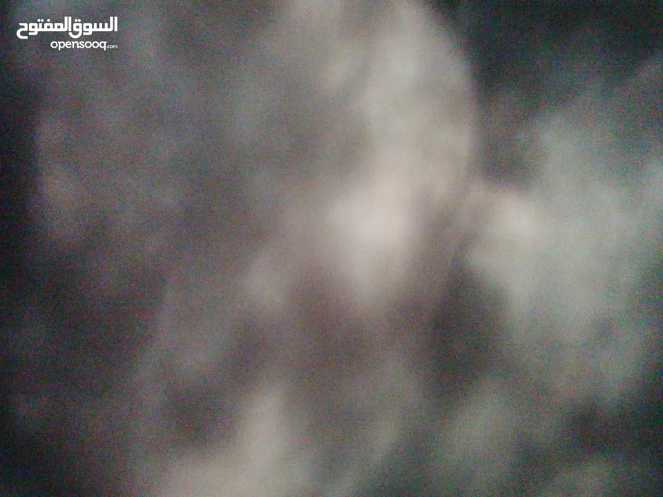 الواح فوم متعددة الاستعمال للديكور بسعر حرق حرق حرق حرق حرق حرق حرق حرق حرق حرق حرق حررررررررررررققق
