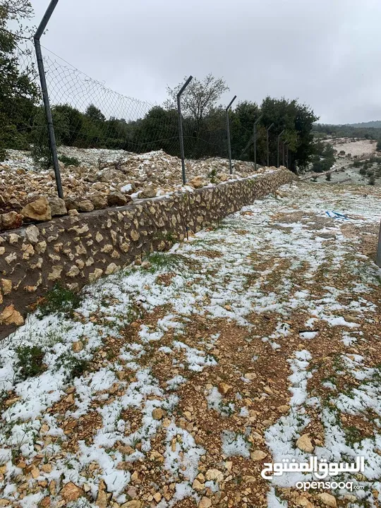 أرض ممتازة في جرش للسكن و للزراعة بقرب أحراش الدولة و سعر مغري  للمزيد من المعلومات اقرأ الوصف
