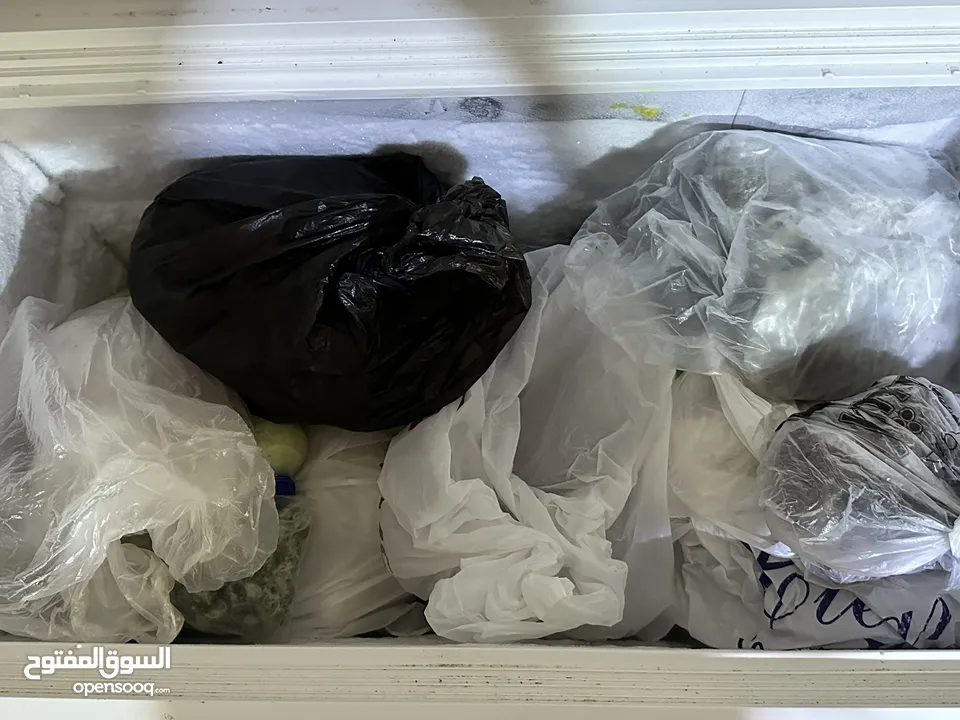 فريزر ناشونال الكتريك