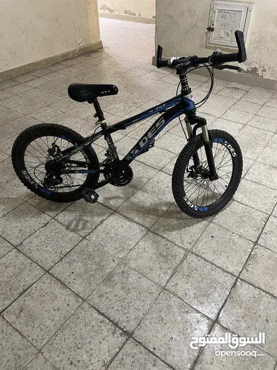 Cycle sale