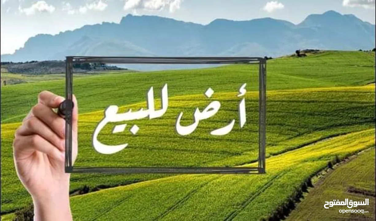 ارض كوشان مستقل في اجمل اراضي العامرية قرب  منتجع ART حوض المفاجر منطقة فلل