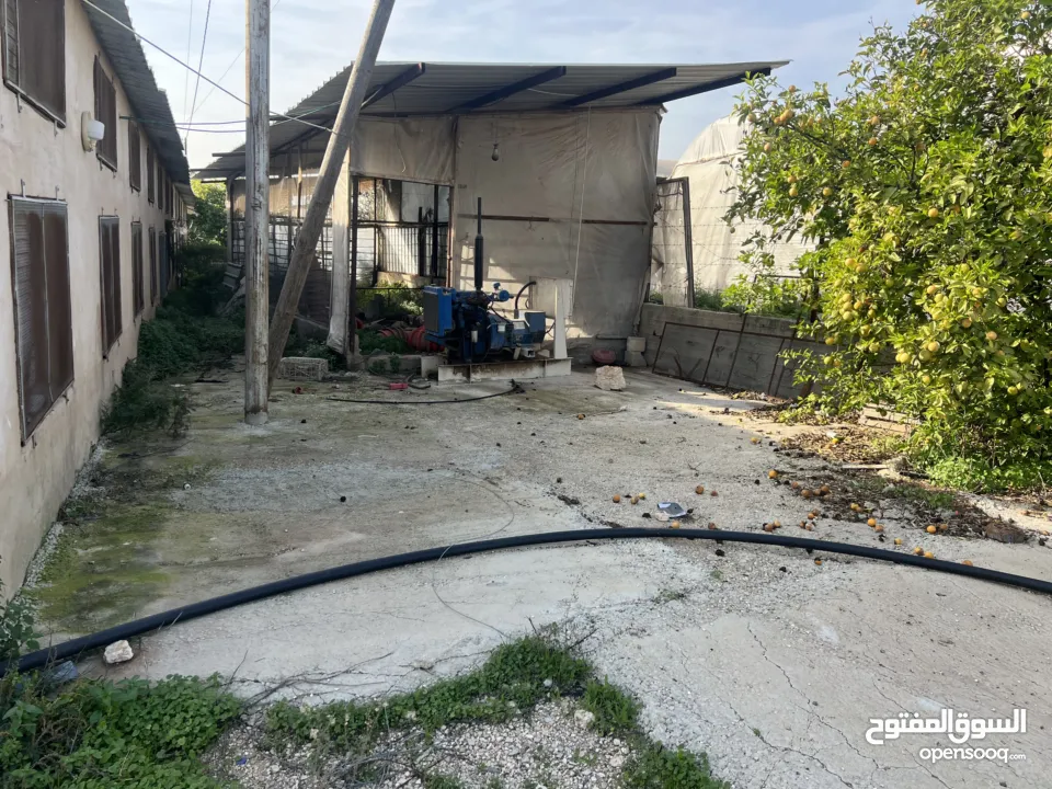 مشروع دواجن متكامل وجاهز للإنتاج – ليس مجرد أرض