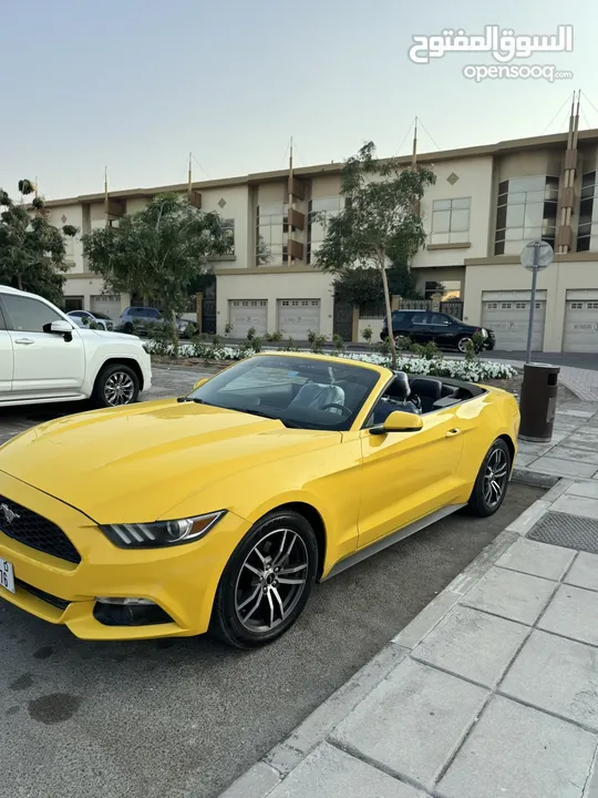 Mustang 2017 model  More details zero five double eight zero five double eight zero three