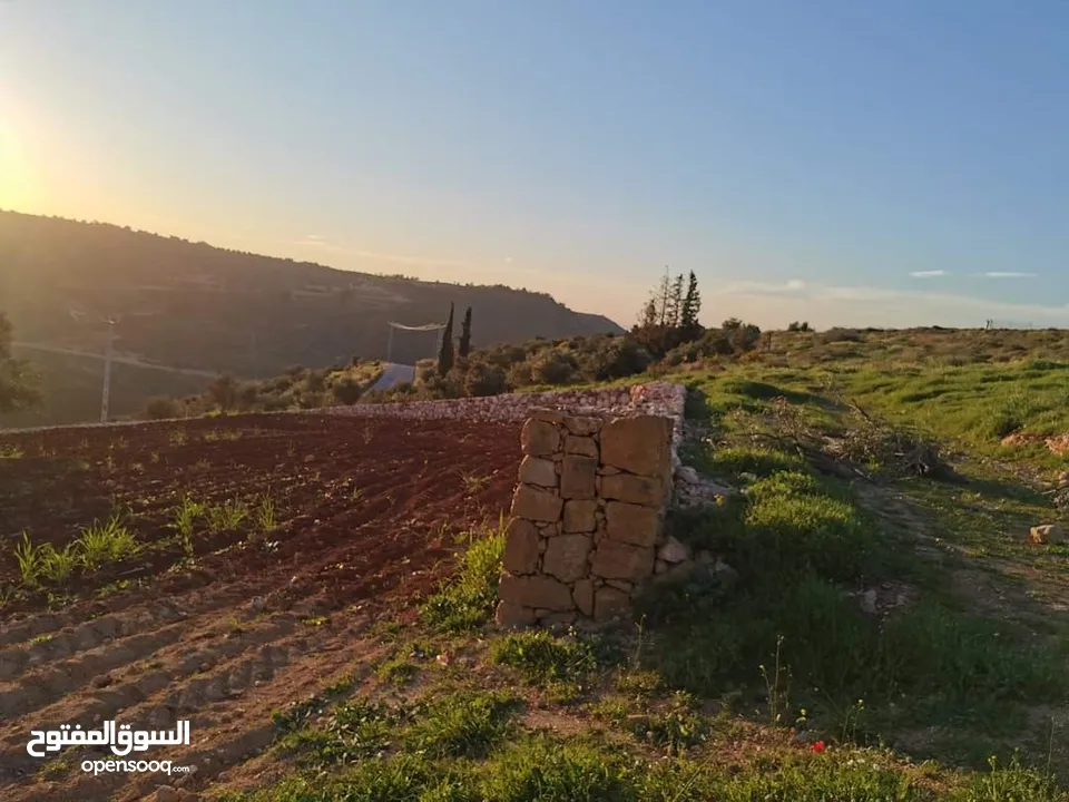 ارض مميزة للبيع في السلط الصبيحي بسعر مغري