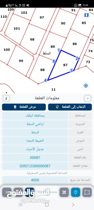 أرض للبيع 4دونم السلط من المالك مطلة عالضفة الغربية بداخل مشروع استثماري مستوية ومسنسلة لقطة