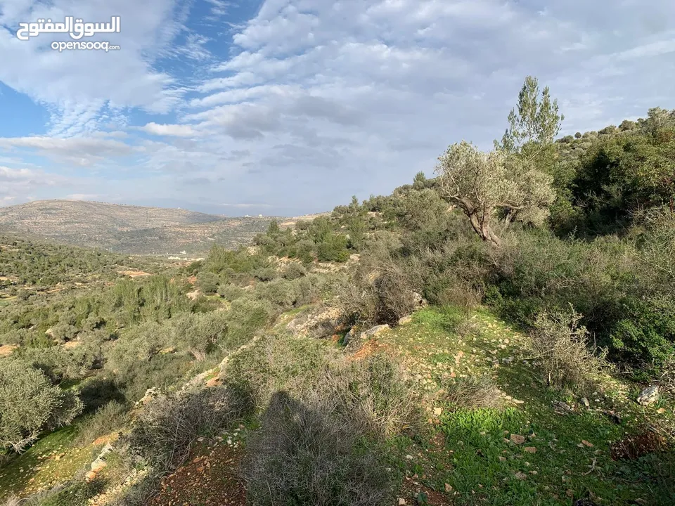 جفنا زعبوب 1355 متر على شارعين في المخطط الهيكلي حدود جفنا بيرزيت، مرتفعة ومطلة مقابل تلال بيرزيت