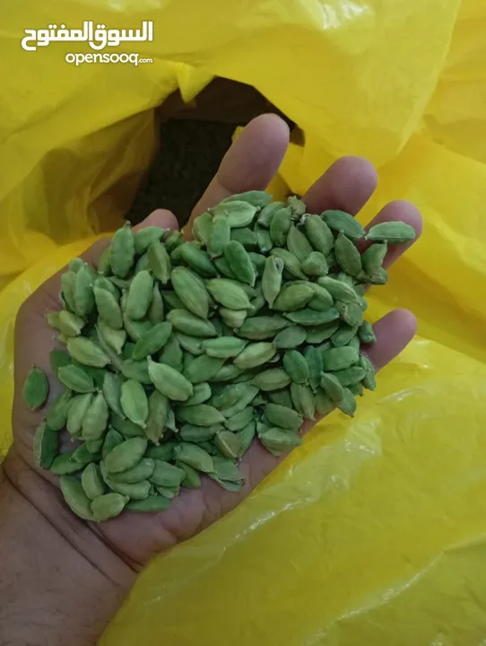 Premium Indian Green Cardamom Now in UAE!   هيل أخضر هندي فاخر متوفر الآن في الإمارات!