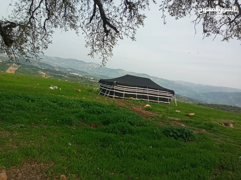 خيم شعر تراثيه