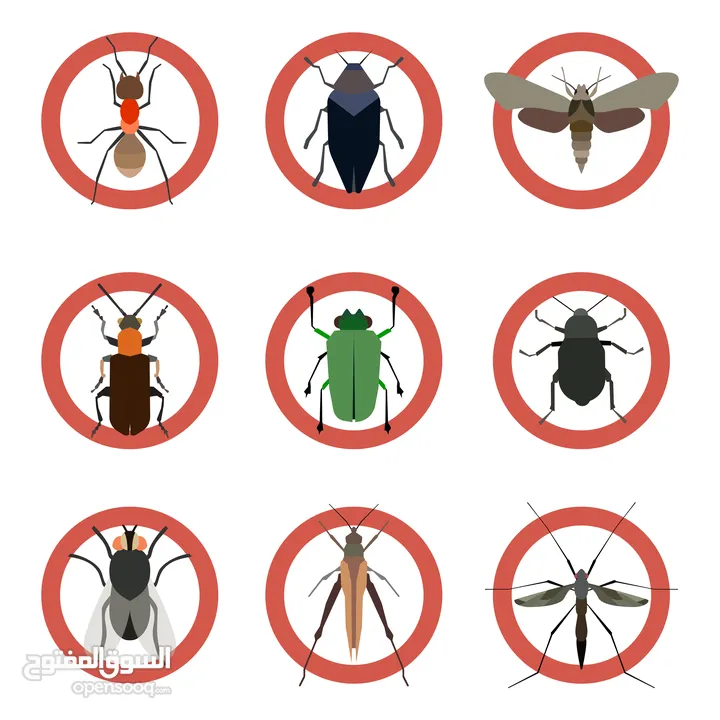 مكافحة حشرات بكافة انواعها