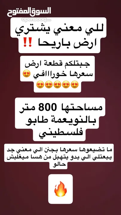 ارض للبيع في اريحا