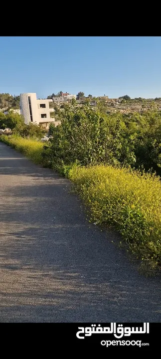 ارض للبيع في برهام قرب بيرزيت مساحه 750متر