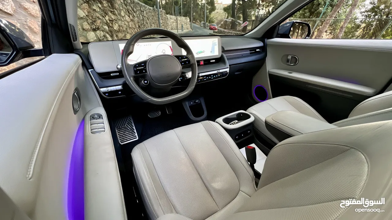 IONIQ 5 Earth Limited Edition 2022