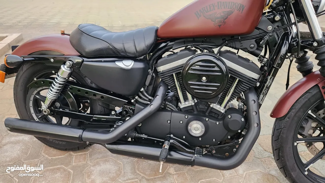 Ride in Style: 2017 Harley Iron 883 For Sale!