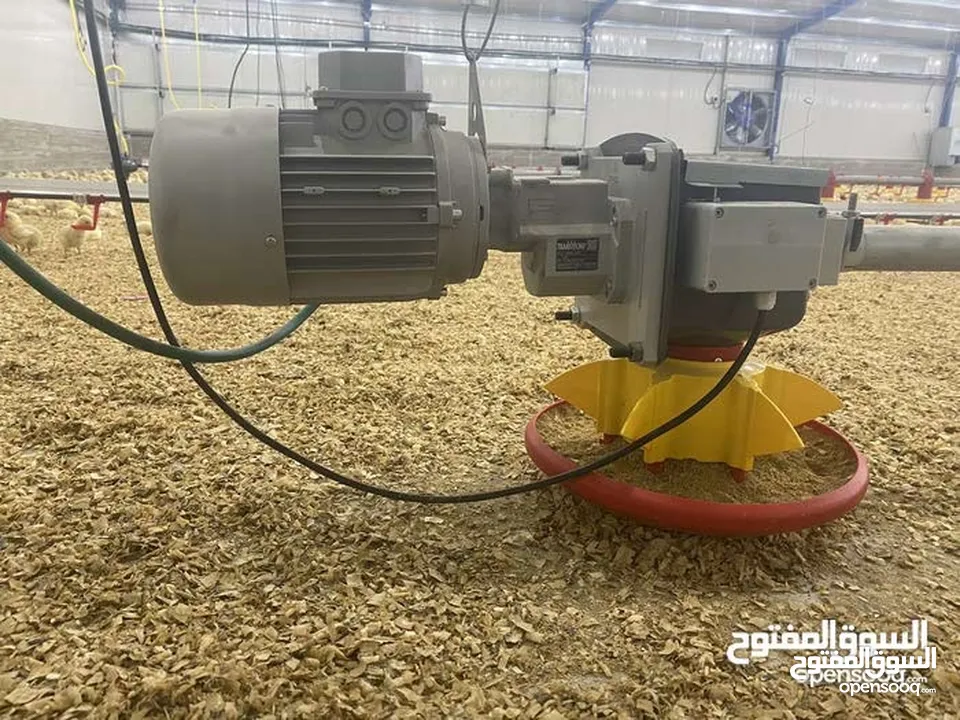 تجهيز وبناء مزارع الدواجن المغلقة