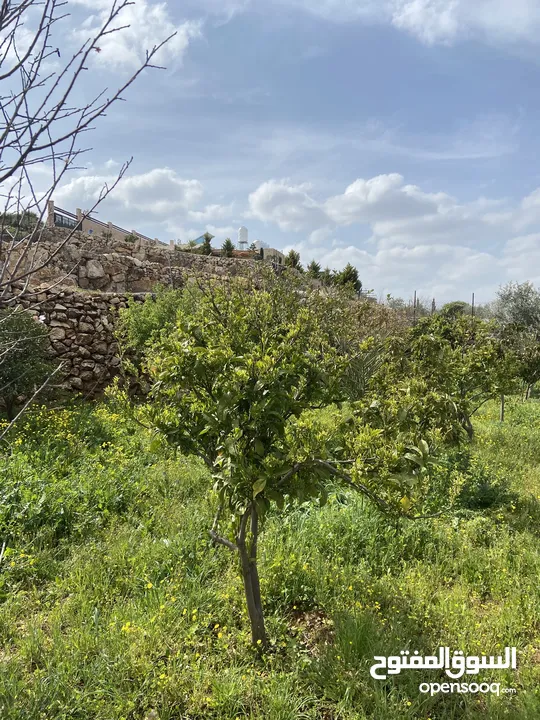 بيت ريفي مع مزرعة