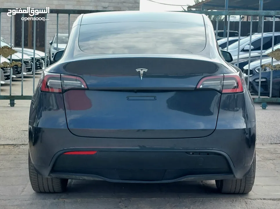 Tesla Y 2022 Performance