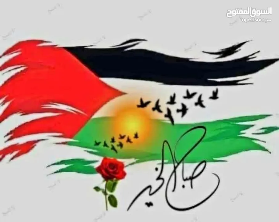 شقة للايجار