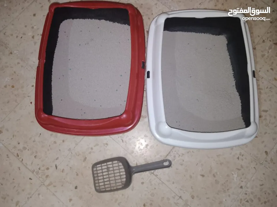 قطتين أنثى و ذكر