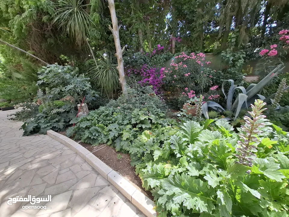 شقة غير مفروشة للإيجار  ( Property 43170 )-174836195