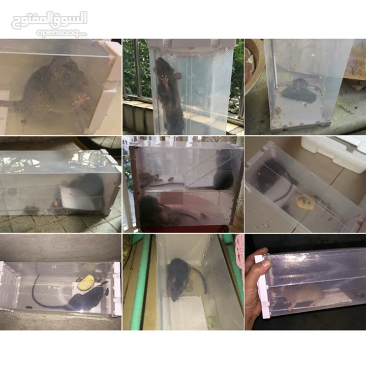 Live Catch Mouse Humane Safe Self Catching Rat Trap