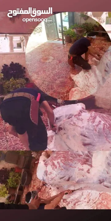 لحام متنقل ذبح أضاحي خاروف عجل بلدي جمل غنم بلدي روماني برزيلي كولمبي اسباني خروف بلدي جزار متنقل