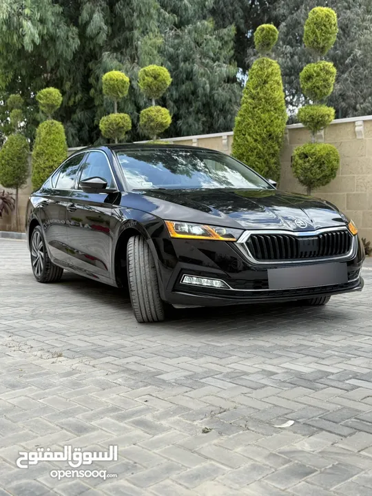سكودا اوكتافيا ترخيص 2021 محرك 2000 ديزل