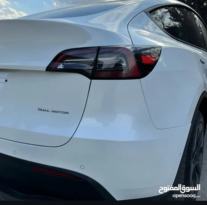 Model y 2021