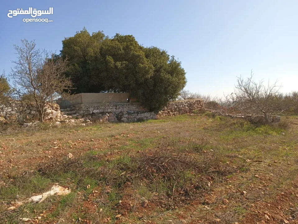 مزرعه  للبيع ..منطقه مرتفعه..وماله.. مشجره...تحتوي 2 بير ماء...مزرعة دواجن 5 آلاف طير...مخدومه كهربا