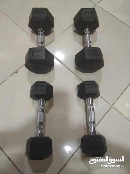 Dumbbells weights l brought them in 2024 November they are not scratched nor damaged
