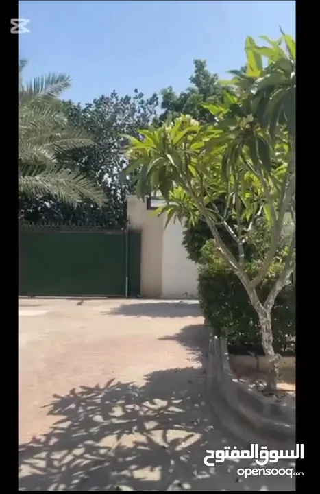 فيلا واسعة للايجار