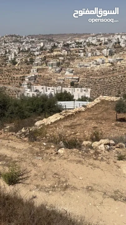 ارض في منطقة لوزة مطلة ومعمرة ع تلة الجبل