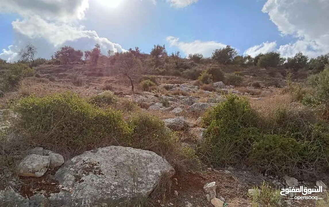 للبيع ارض في عنبتا الجبل الجنوبي تصنيف (أ )مساحه 1403 ارض جبليه مرتفعه كوشان نظيف بأفضل مناطق عنبتا