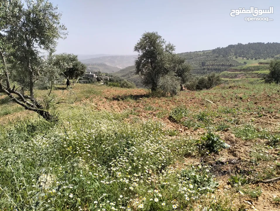 أرض مميزة جداً لعمل شاليه استثماري أو مزرعة خاصة أو مزرعة تجارية يوجد بها قناة ماء من المالك مباشرة