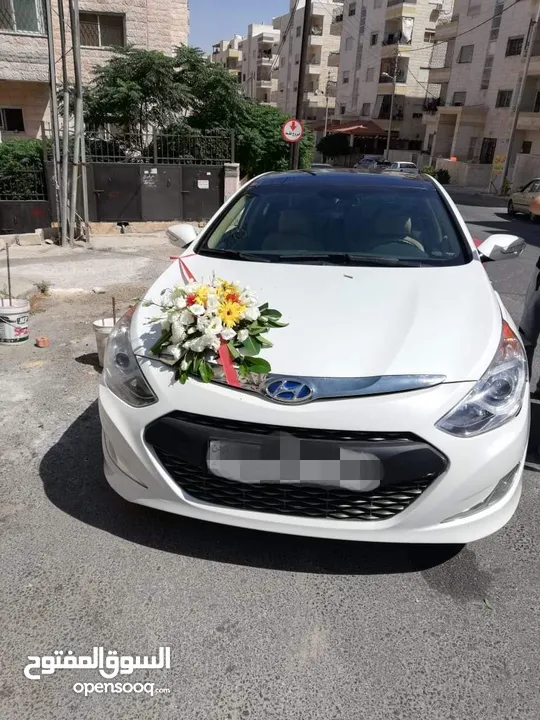 فورد موستينج كشف للأعراس والمناسبات والايام